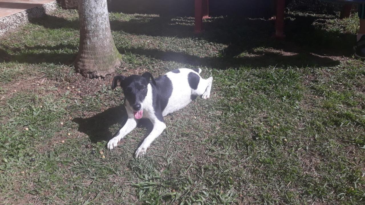 Sitio E Pousada Recanto Dos Ipes Teresópolis Buitenkant foto